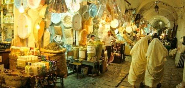 وصف مدينة تونس صورة مقال وصف مدينة تونس