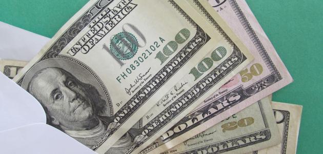 ما هو الدخل الفردي صورة مقال ما هو الدخل الفردي