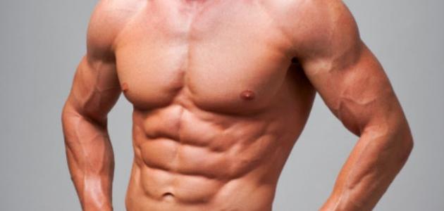 ما فائدة عضلات البطن صورة مقال ما فائدة عضلات البطن