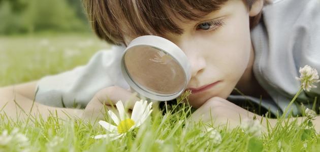 مفهوم الوعي البيئي صورة مقال مفهوم الوعي البيئي