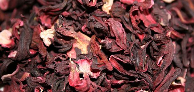 فوائد عشبة الكركديه صورة مقال فوائد عشبة الكركديه