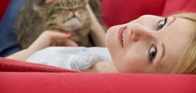 هل القطط تسبب الأمراض صورة مقال هل القطط تسبب الأمراض