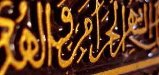 ما معنى لغة الضاد صورة مقال ما معنى لغة الضاد