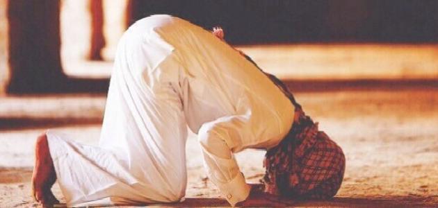 الصلاة من غير وضوء صورة مقال الصلاة من غير وضوء