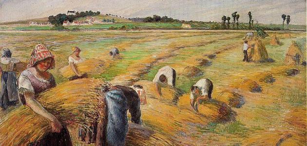 ما هو النظام الاشتراكي صورة مقال ما هو النظام الاشتراكي