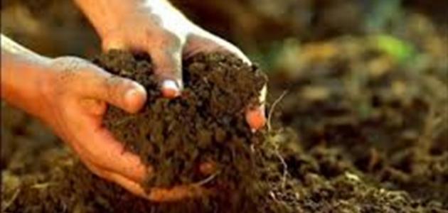 بحث حول مكونات التربة صورة مقال بحث حول مكونات التربة