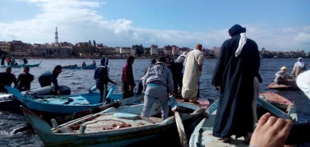 عدد سكان كفر الشيخ صورة مقال عدد سكان كفر الشيخ