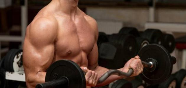 تمارين لتقوية الذراعين دون حديد صورة مقال تمارين لتقوية الذراعين دون حديد