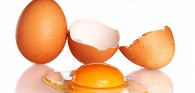 ما فوائد البيض النيء صورة مقال ما فوائد البيض النيء