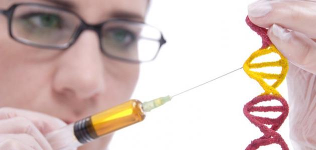 كيف تنتقل الصفات الوراثية صورة مقال كيف تنتقل الصفات الوراثية