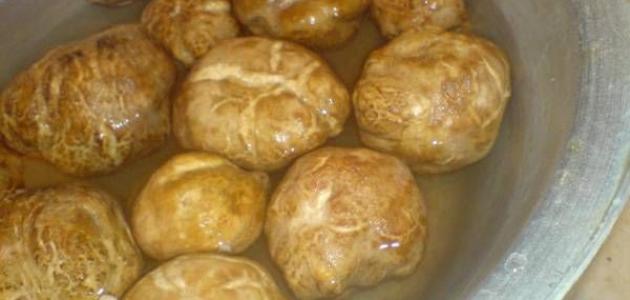 ما هو الفقع صورة مقال ما هو الفقع