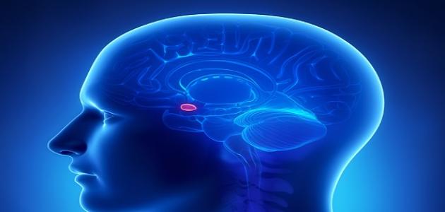 نقص هرمون الغدة النخامية صورة مقال نقص هرمون الغدة النخامية