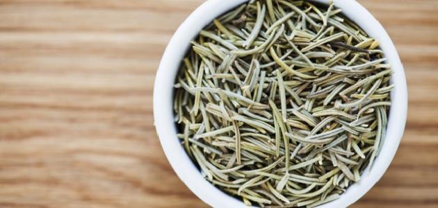 ما هو حصى البان صورة مقال ما هو حصى البان