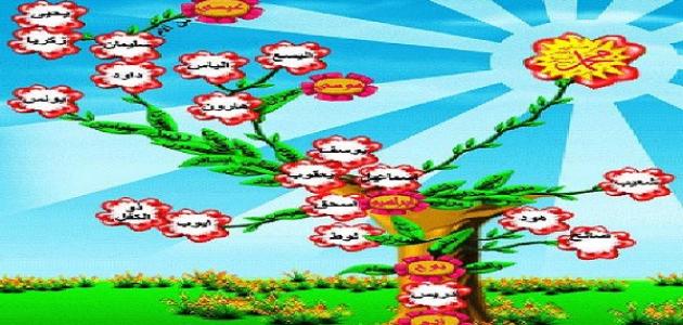 ما ترتيب الأنبياء صورة مقال ما ترتيب الأنبياء