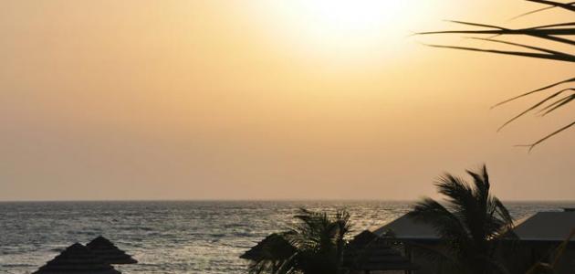 جزيرة الفرسان في جازان صورة مقال جزيرة الفرسان في جازان