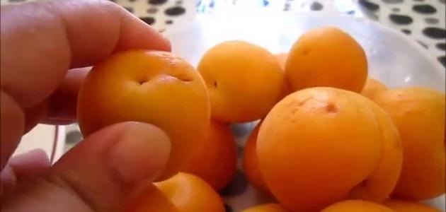 طريقة تجفيف المشمش في البيت صورة مقال طريقة تجفيف المشمش في البيت