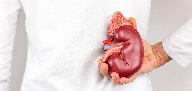 أسباب فشل الكلوي المزمن صورة مقال أسباب فشل الكلوي المزمن