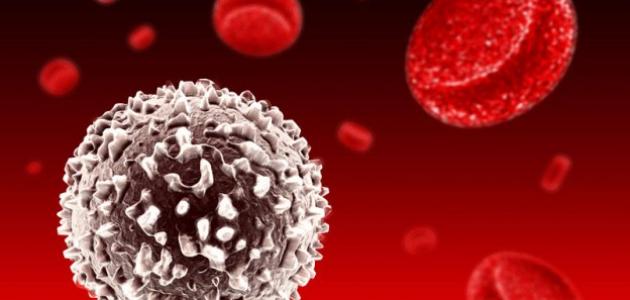 أسباب زيادة كريات الدم الحمراء في البول صورة مقال أسباب زيادة كريات الدم الحمراء في البول