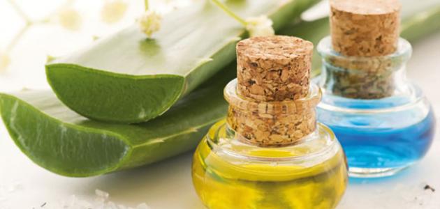 كيفية صنع زيت الصبار صورة مقال كيفية صنع زيت الصبار