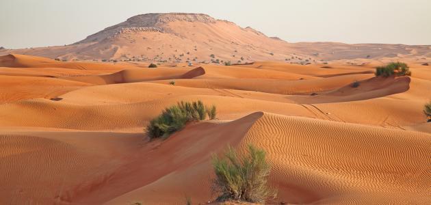 تضاريس دول مجلس التعاون الخليجي صورة مقال تضاريس دول مجلس التعاون الخليجي