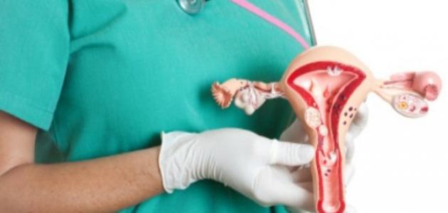 ما هو تضخم الرحم صورة مقال ما هو تضخم الرحم