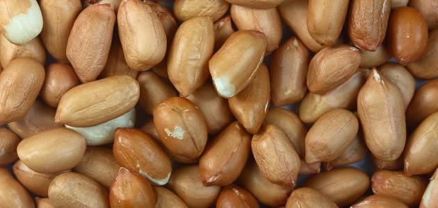 فوائد الفول السوداني للشعر صورة مقال فوائد الفول السوداني للشعر