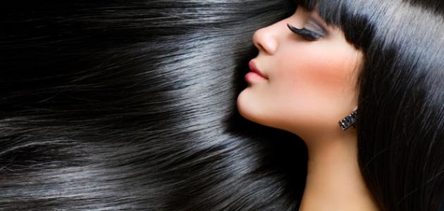 عمل شامبو السدر صورة مقال عمل شامبو السدر