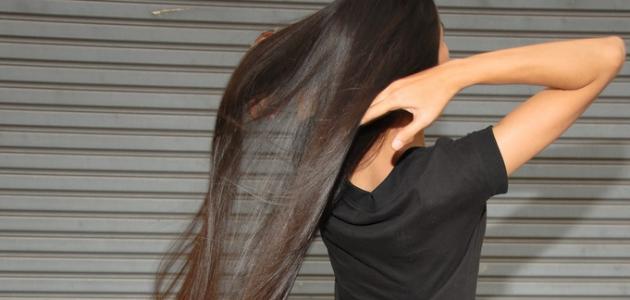 ما هو غذاء الشعر صورة مقال ما هو غذاء الشعر