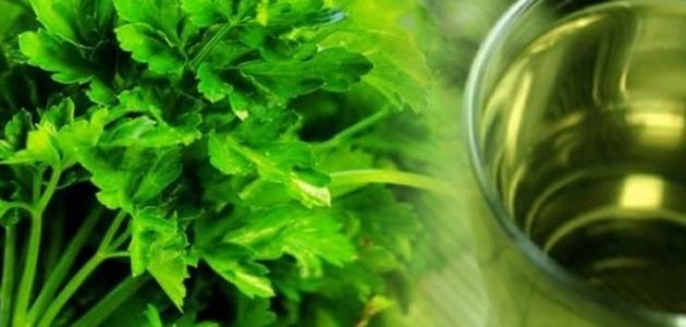 فوائد مغلي البقدونس للشعر صورة مقال فوائد مغلي البقدونس للشعر