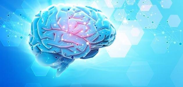 كيف تقوي عقلك صورة مقال كيف تقوي عقلك