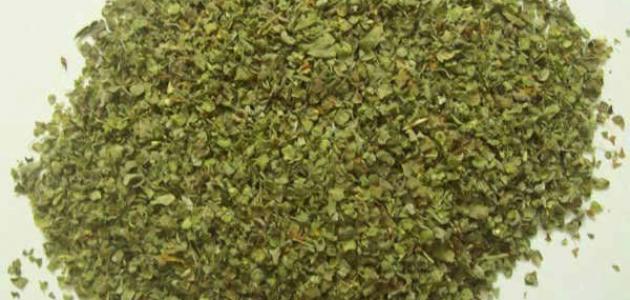 فوائد البردقوش للرحم صورة مقال فوائد البردقوش للرحم