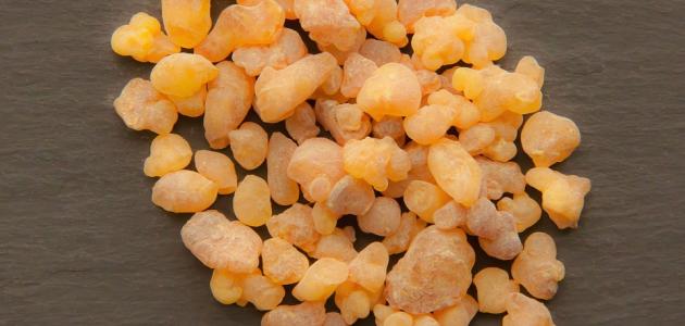 فوائد المر الحجازي للبشرة الدهنية صورة مقال فوائد المر الحجازي للبشرة الدهنية