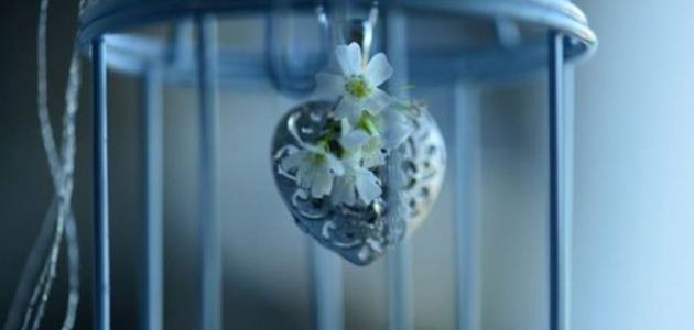 من أول صحابي ولد في الإسلام صورة مقال من أول صحابي ولد في الإسلام