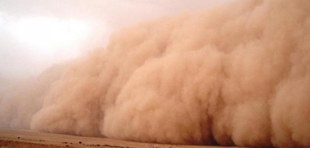 فوائد الغبار علمياً صورة مقال فوائد الغبار علمياً