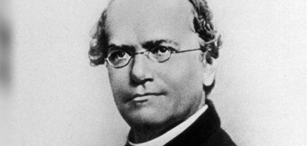 تقرير عن حياة عالم الوراثة مندل صورة مقال تقرير عن حياة عالم الوراثة مندل