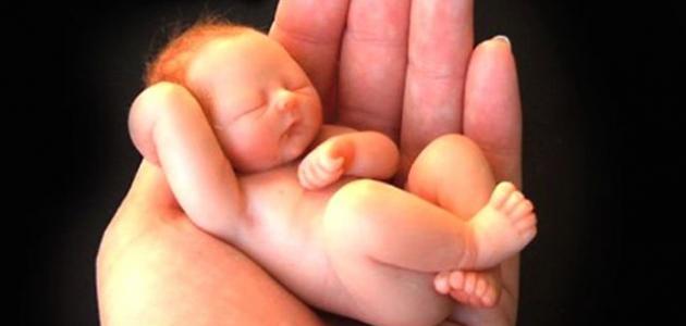 ما هي أسباب فشل اطفال الانابيب صورة مقال ما هي أسباب فشل اطفال الانابيب