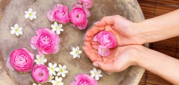 ما فوائد ماء الورد للصدر صورة مقال ما فوائد ماء الورد للصدر