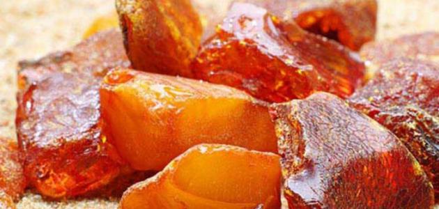 فوائد عنبر الملوك صورة مقال فوائد عنبر الملوك