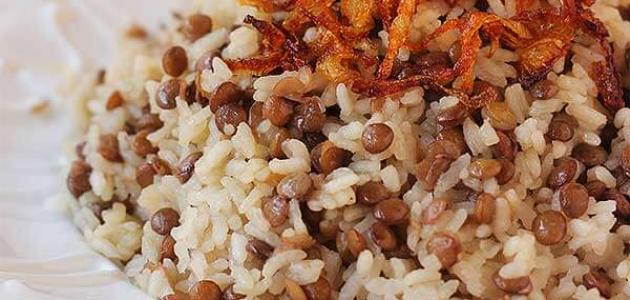 طريقة عمل المجدرة على أصولها صورة مقال طريقة عمل المجدرة على أصولها