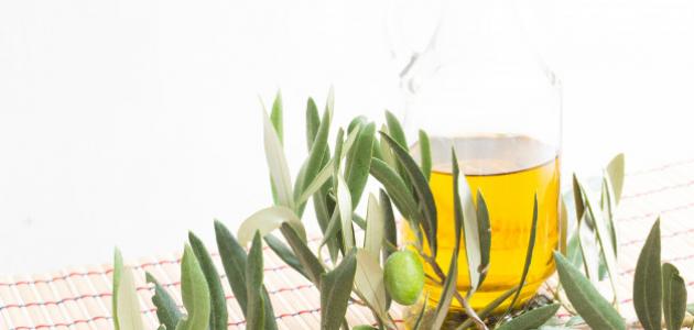 فوائد زيت الزيتون للجلد المترهل صورة مقال فوائد زيت الزيتون للجلد المترهل