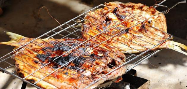 عمل سمك المسكوف صورة مقال عمل سمك المسكوف