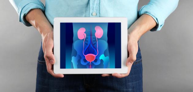 العيوب الخلقية في الجهاز البولي صورة مقال العيوب الخلقية في الجهاز البولي