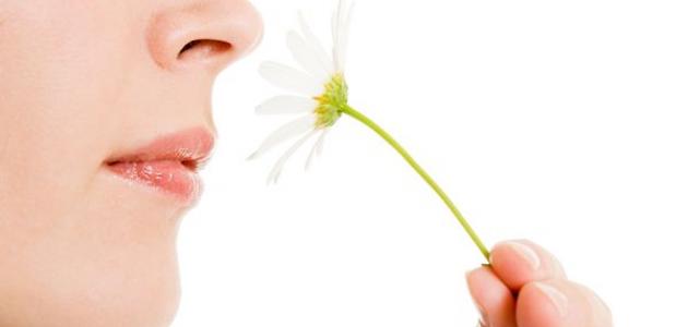 معلومات عن حاسة الشم عند الإنسان صورة مقال معلومات عن حاسة الشم عند الإنسان