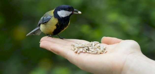 ثواب عمل الخير صورة مقال ثواب عمل الخير