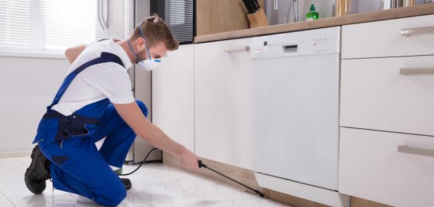 أفضل طريقة للقضاء على صراصير المطبخ صورة مقال أفضل طريقة للقضاء على صراصير المطبخ