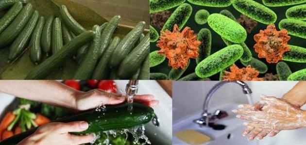 ما هي بكتيريا إي كولاي صورة مقال ما هي بكتيريا إي كولاي