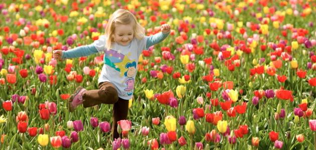 معلومات عن فصل الربيع صورة مقال معلومات عن فصل الربيع