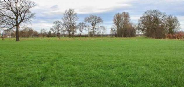 مدينة عين العرب في سوريا صورة مقال مدينة عين العرب في سوريا