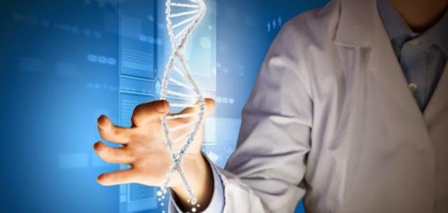 الصفات الوراثية للجنين صورة مقال الصفات الوراثية للجنين