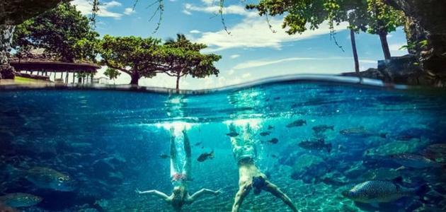 معلومات عن دولة ساموا صورة مقال معلومات عن دولة ساموا